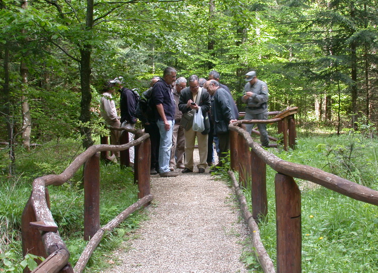 Presentazione della guida interattiva alla flora